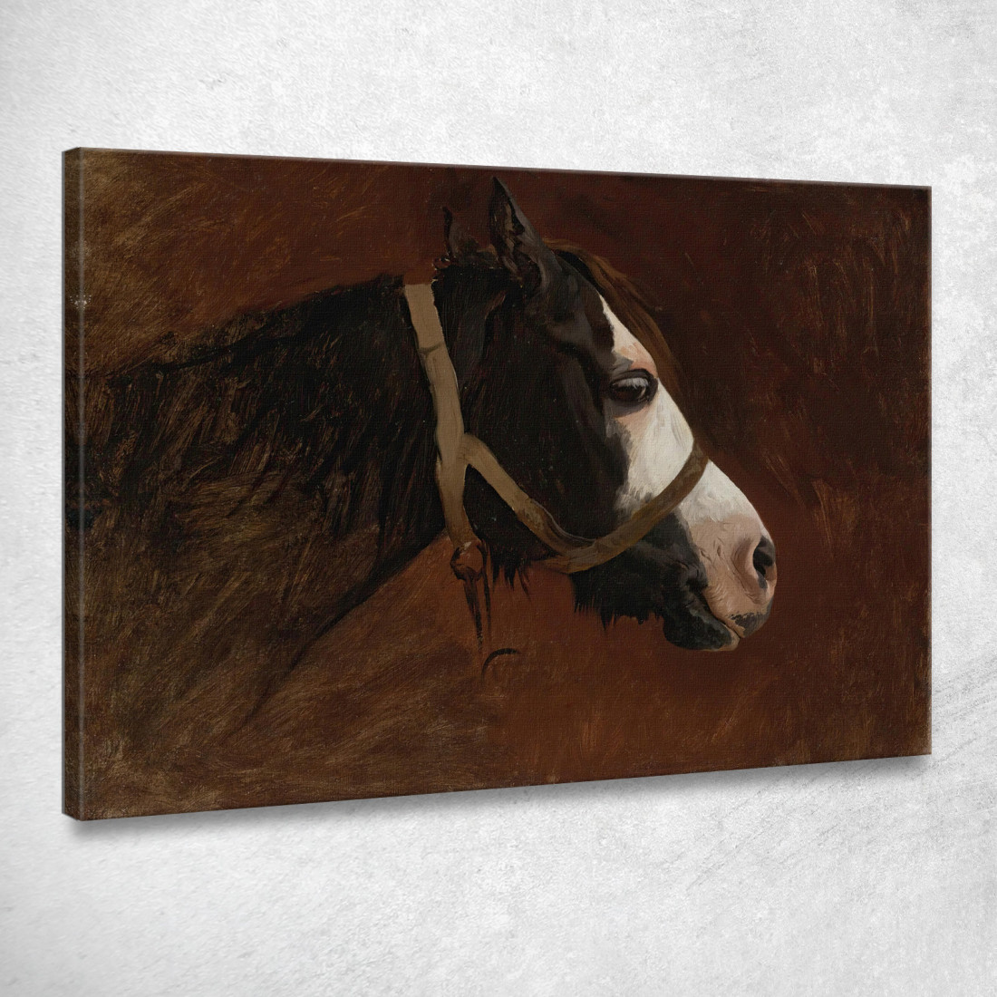 Profilo Di Un Cavallo Jean-Léon Gérôme jlg108 quadro stampato su tela