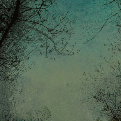 Amanti Su Un Viottolo Al Chiaro Di Luna John Atkinson Grimshaw jag42 quadro stampato su tela