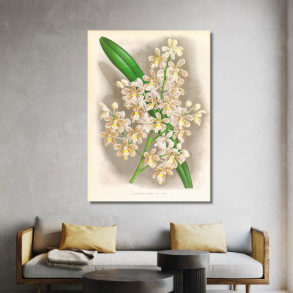 Illustrazioni Botaniche Cleisostoma Guiberti Jean Jules Linden jjl47 quadro stampato su tela