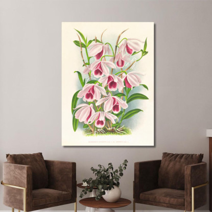 Illustrazioni Botaniche Dendrobium Superbum Var Anosmum Jean Jules Linden jjl78 quadro stampato su tela