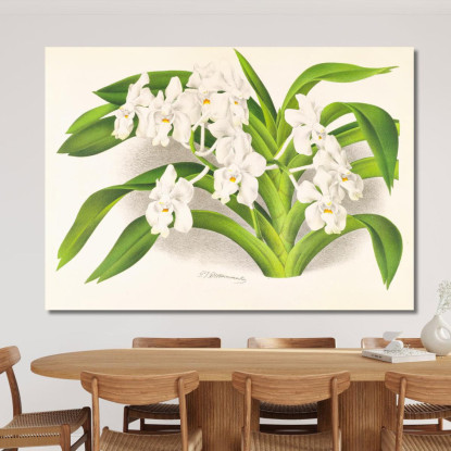 Illustrazioni Botaniche Vanda Denisoniana Jean Jules Linden jjl158 quadro stampato su tela