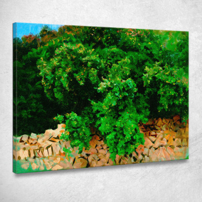 Legno Di Leccio. Maiorca John Singer Sargent jss111 quadro stampato su tela