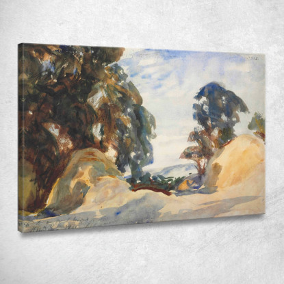 Paesaggio Con Alberi John Singer Sargent jss133 quadro stampato su tela