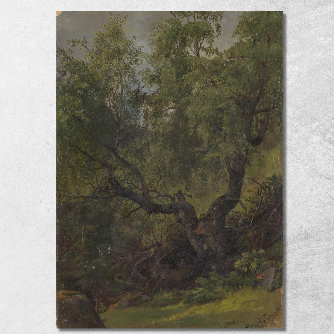 Studio Di Foresta Da Numedal Adolph Tidemand atd24 quadro stampato su tela