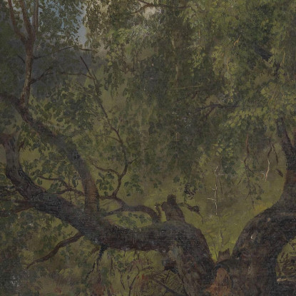 Studio Di Foresta Da Numedal Adolph Tidemand atd24 quadro stampato su tela