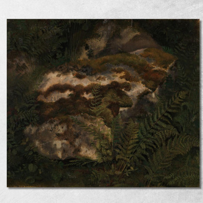 Studio Di Una Pietra Coperta Di Muschio E Felci Adolph Tidemand atd78 quadro stampato su tela