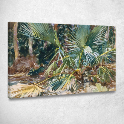 Palmetto John Singer Sargent jss212 quadro stampato su tela