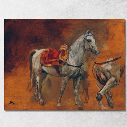 Studi Di Un Cavallo Grigio Ernest Meissonier ems30 quadro stampato su tela