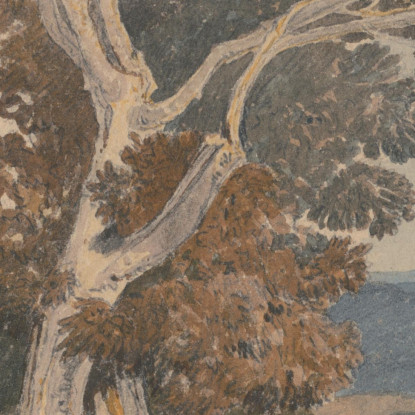 Un Gruppo Di Alberi Vicino A Una Recinzione John Sell Cotman jsc2 quadro stampato su tela