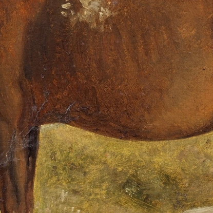 Rosinante. Studio Di Un Vecchio Cavallo In Piedi Wilhelm Marstrand wmr57 quadro stampato su tela