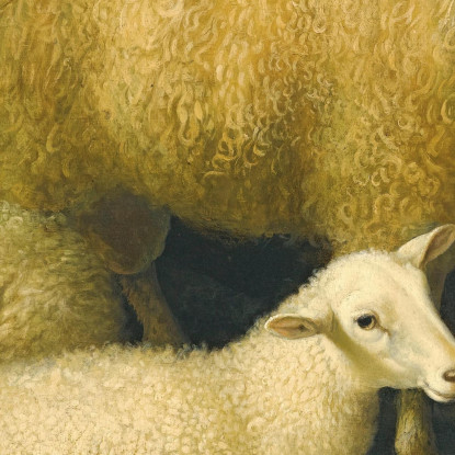 Interno Di Un Fienile Con Un Ariete A Quattro Corna Quattro Pecore E Una Capra Aelbert Cuyp acu1 quadro stampato su tela