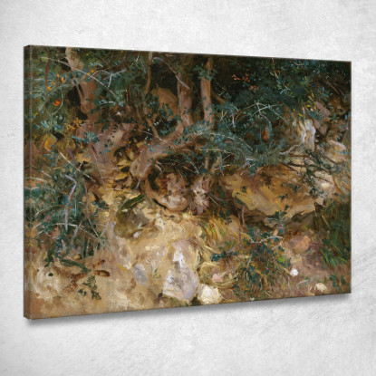 Valdemosa Maiorca Cardi Ed Erbe Su Una Collina John Singer Sargent jss353 quadro stampato su tela