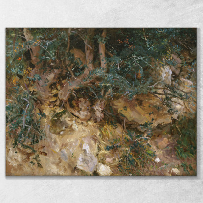 Valdemosa Maiorca Cardi Ed Erbe Su Una Collina John Singer Sargent jss353 quadro stampato su tela