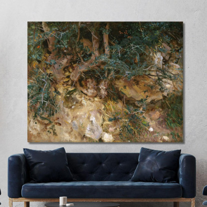 Valdemosa Maiorca Cardi Ed Erbe Su Una Collina John Singer Sargent jss353 quadro stampato su tela