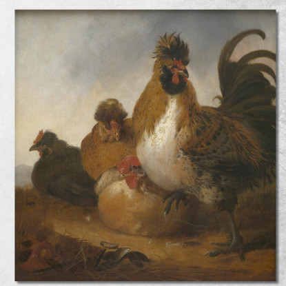 Gallo E Galline Aelbert Cuyp acu42 quadro stampato su tela