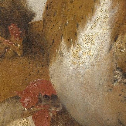 Gallo E Galline Aelbert Cuyp acu42 quadro stampato su tela