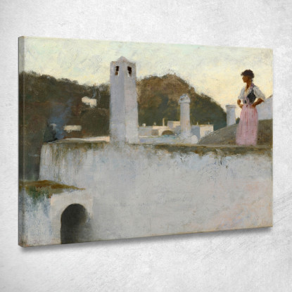 Veduta Di Capri John Singer Sargent jss365 quadro stampato su tela