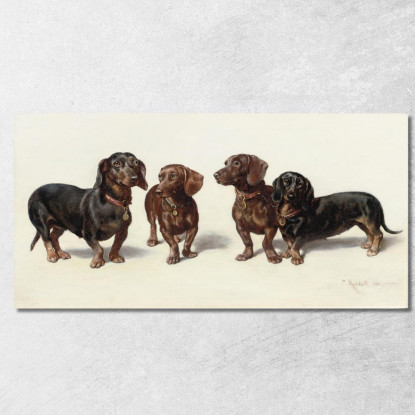 Quattro Bassotti Carl Reichert crc25 quadro stampato su tela