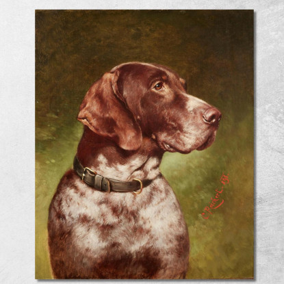 Testa Di Un Bracco Tedesco Carl Reichert crc30 quadro stampato su tela
