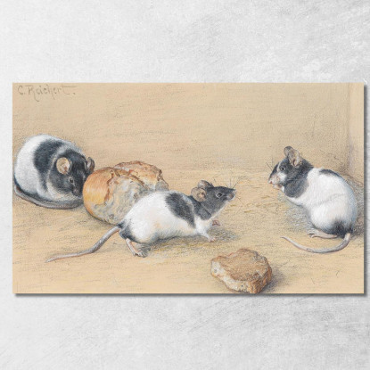 Topo Carl Reichert crc38 quadro stampato su tela