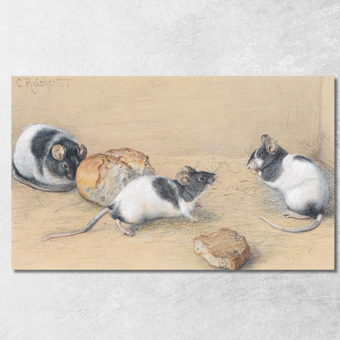 Topo Carl Reichert crc38 quadro stampato su tela