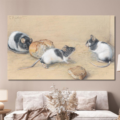 Topo Carl Reichert crc38 quadro stampato su tela