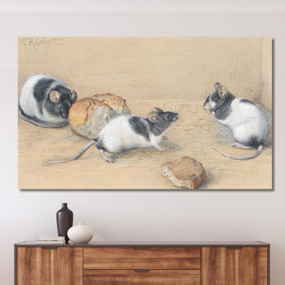 Topo Carl Reichert crc38 quadro stampato su tela