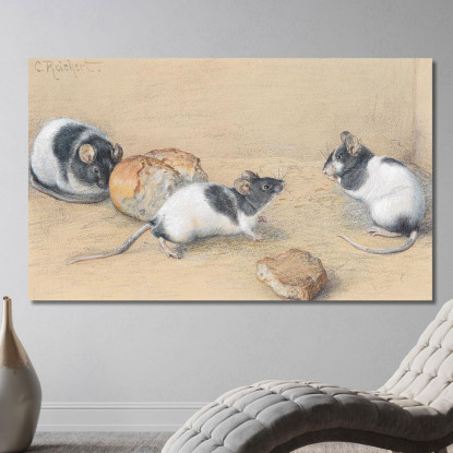 Topo Carl Reichert crc38 quadro stampato su tela