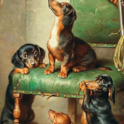 Ancora Non Addestrato Alla Caccia Alla Lepre Carl Reichert crc41 quadro stampato su tela