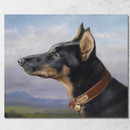 Ritratto Di Un Dobermann Carl Reichert crc44 quadro stampato su tela