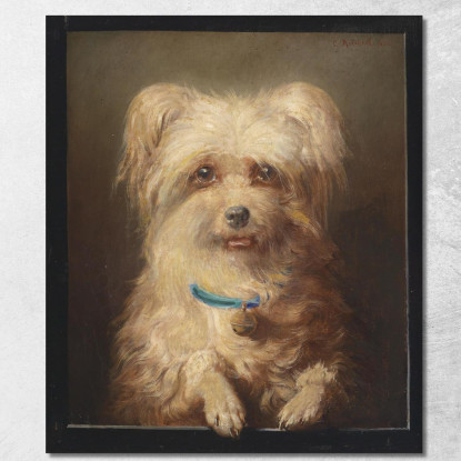 Griffoncino Nano Carl Reichert crc61 quadro stampato su tela