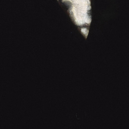 Ritratto Di Pierre Waldeck-Rousseau (1846-1904) Uomo Politico Henri Gervex hgr31 quadro stampato su tela