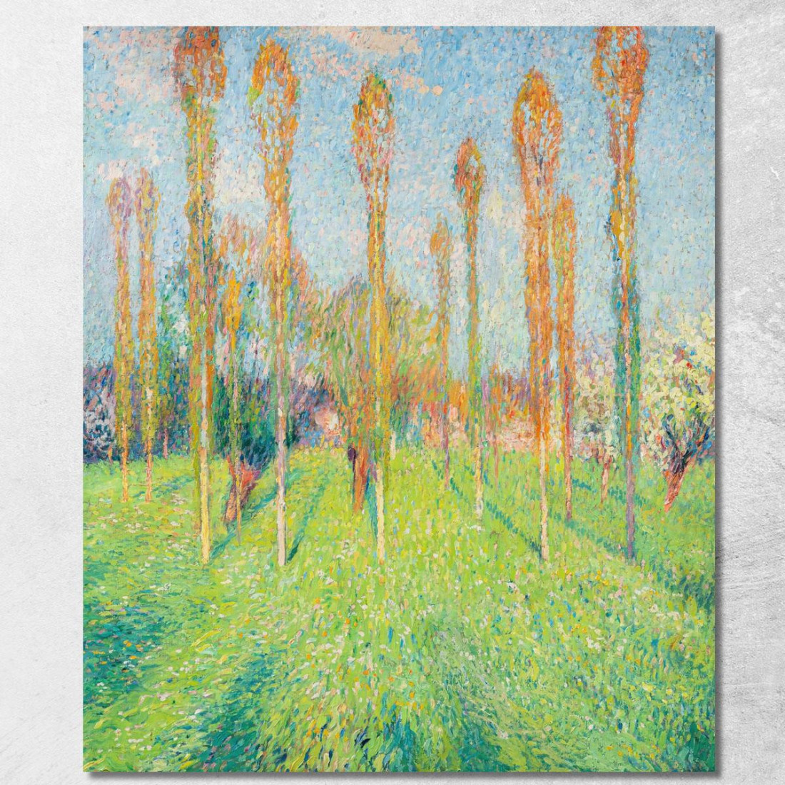 Prato Soleggiato Con Pioppi Henri Martin hmt71 quadro stampato su tela