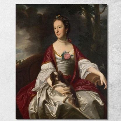 Signora Jerathmael Bowers John Singleton Copley jsg43 quadro stampato su tela