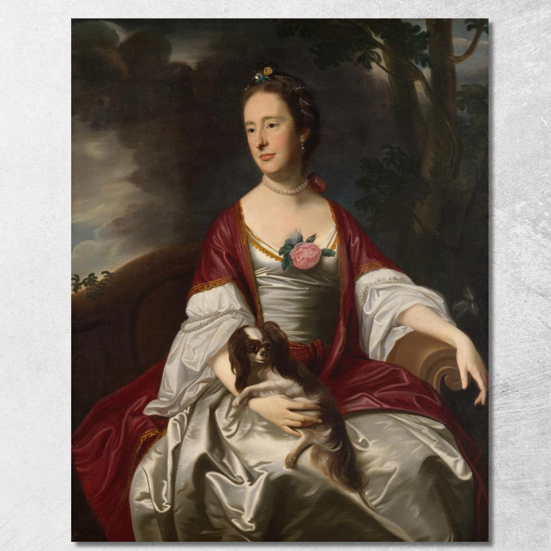 Signora Jerathmael Bowers John Singleton Copley jsg43 quadro stampato su tela