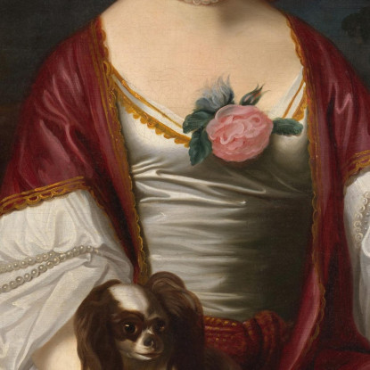 Signora Jerathmael Bowers John Singleton Copley jsg43 quadro stampato su tela