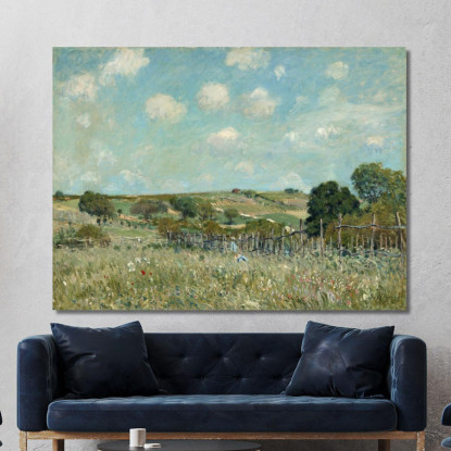 Prato Alfred Sisley asi57 quadro stampato su tela