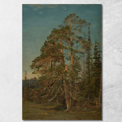 Pini Levanger Amaldus Nielsen ani115 quadro stampato su tela