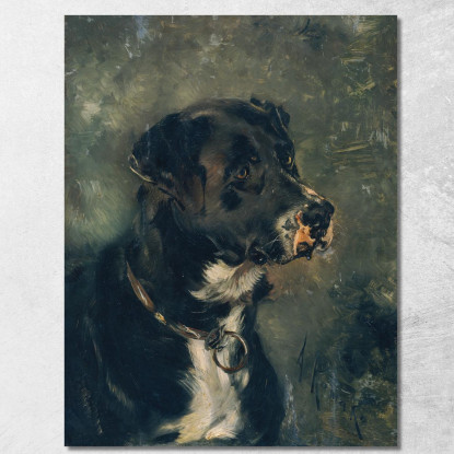 Testa Di Un Cane Macellaio / Testa Di Cane Anton Romako arm36 quadro stampato su tela