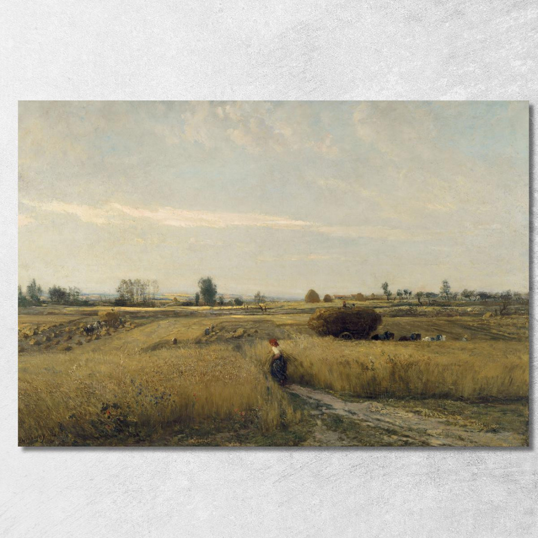 Mietitura Charles François Daubigny cfd27 quadro stampato su tela