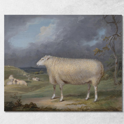 Una Pecora Border Leicester James Ward jwr1 quadro stampato su tela