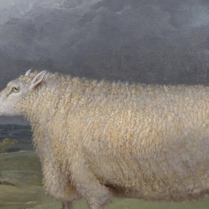 Una Pecora Border Leicester James Ward jwr1 quadro stampato su tela