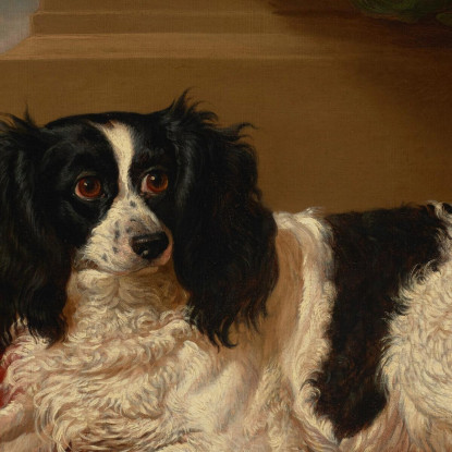 Un Cane King Charles Spaniel Su Un Cuscino Rosso James Ward jwr5 quadro stampato su tela