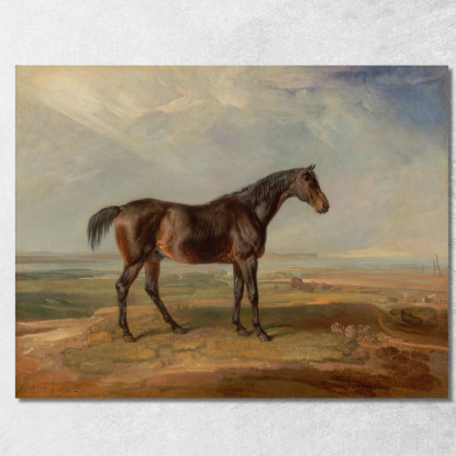 Dr. Syntax Un Cavallo Da Corsa Baio In Piedi In Un Paesaggio Costiero Con Un Estuario Sullo Sfondo James Ward jwr15 quadro stam