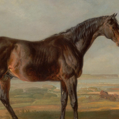 Dr. Syntax Un Cavallo Da Corsa Baio In Piedi In Un Paesaggio Costiero Con Un Estuario Sullo Sfondo James Ward jwr15 quadro stam