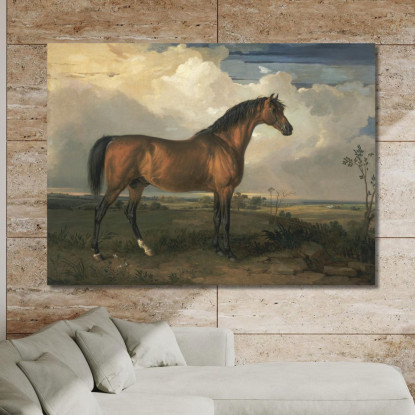 Aquila Uno Stallone Celebre James Ward jwr16 quadro stampato su tela