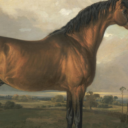 Aquila Uno Stallone Celebre James Ward jwr16 quadro stampato su tela