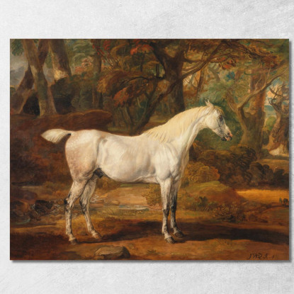 Stallone Arabo Grigio Di Proprietà Di Sir Watkin Williams-Wynn James Ward jwr18 quadro stampato su tela