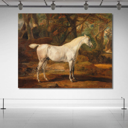 Stallone Arabo Grigio Di Proprietà Di Sir Watkin Williams-Wynn James Ward jwr18 quadro stampato su tela