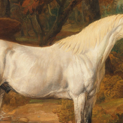 Stallone Arabo Grigio Di Proprietà Di Sir Watkin Williams-Wynn James Ward jwr18 quadro stampato su tela